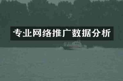 专业网络推广数据分析
