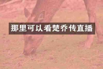 那里可以看楚乔传直播