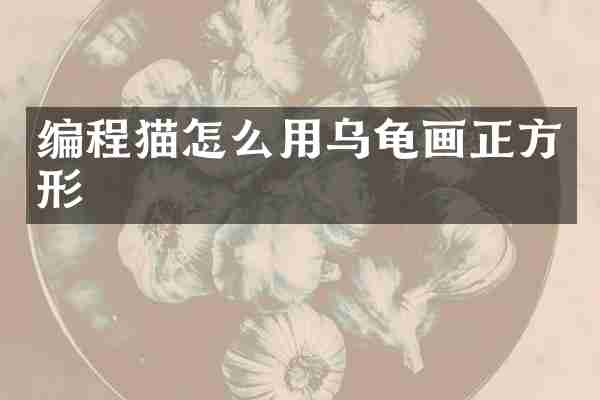 编程猫怎么用乌龟画正方形