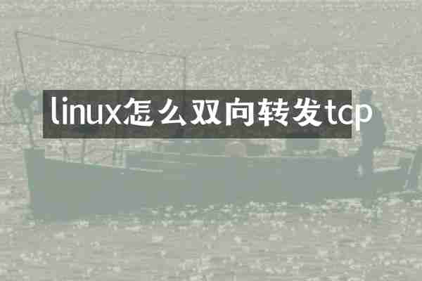 linux怎么双向转发tcp