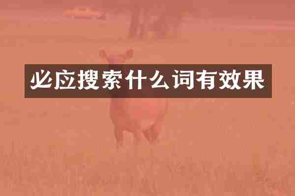 必应搜索什么词有效果