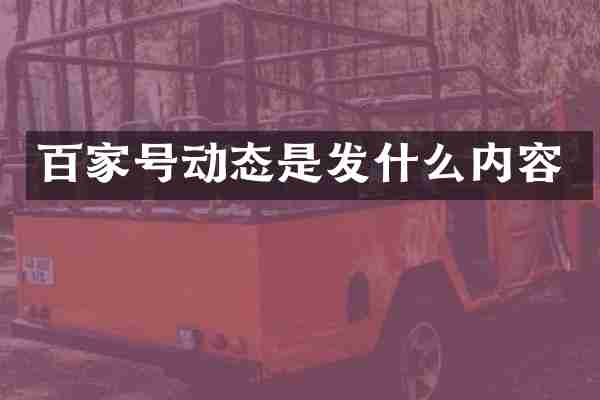 百家号动态是发什么内容