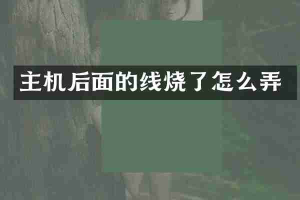 主机后面的线烧了怎么弄