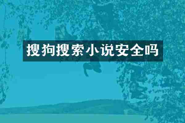 搜狗搜索小说安全吗