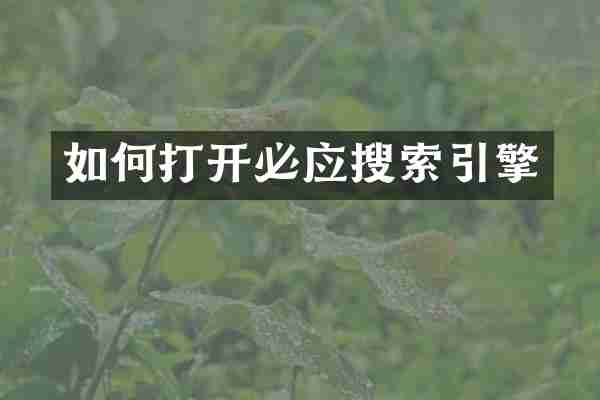 如何打开必应搜索引擎