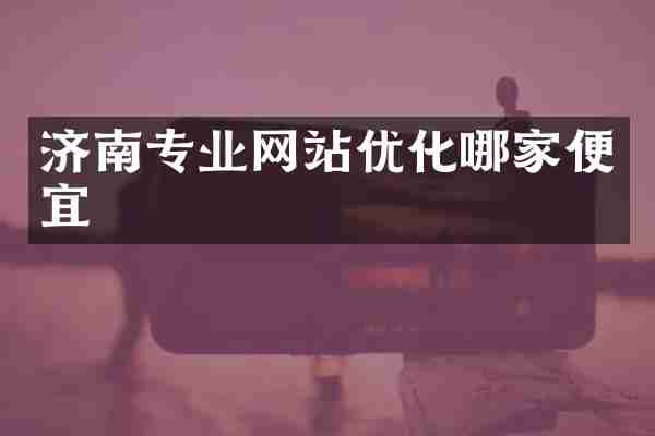济南专业网站优化哪家便宜