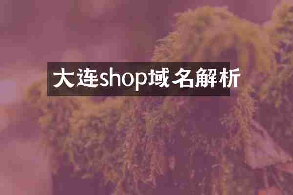 大连shop域名解析