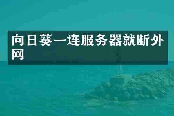 向日葵一连服务器就断外网