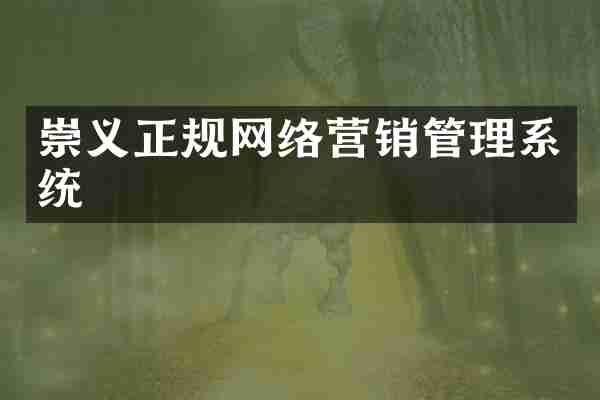 崇义正规网络营销管理系统