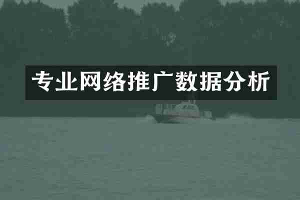 专业网络推广数据分析