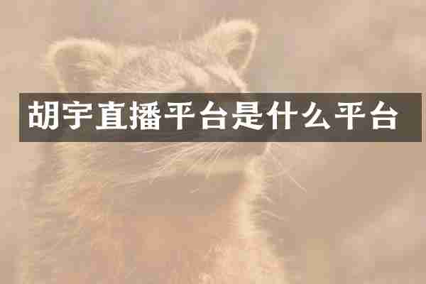 胡宇直播平台是什么平台