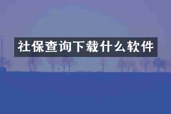 社保查询下载什么软件