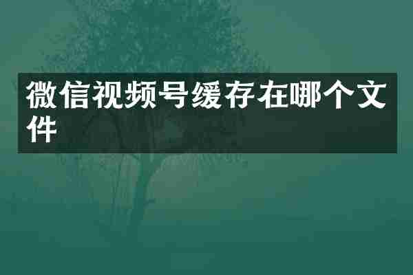 微信视频号缓存在哪个文件