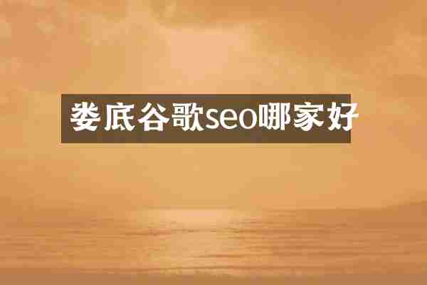 娄底谷歌seo哪家好