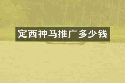 定西神马推广多少钱