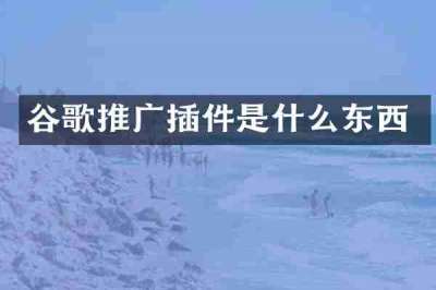 谷歌推广插件是什么东西