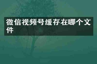 微信视频号缓存在哪个文件