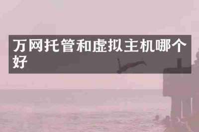 万网托管和虚拟主机哪个好