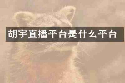 胡宇直播平台是什么平台