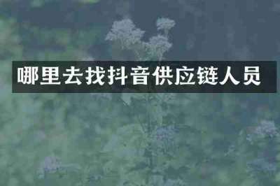 哪里去找抖音供应链人员