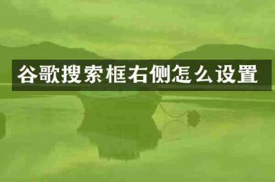 谷歌搜索框右侧怎么设置
