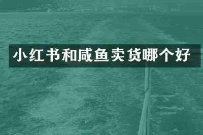 小红书和咸鱼卖货哪个好