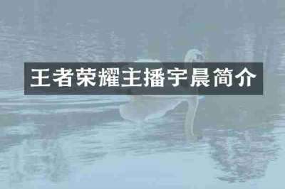王者荣耀主播宇晨简介