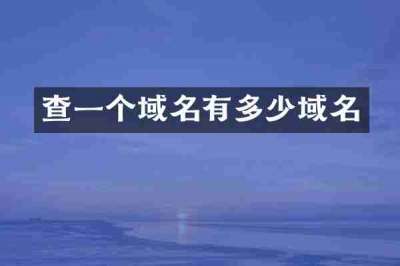 查一个域名有多少域名