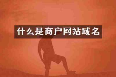 什么是商户网站域名