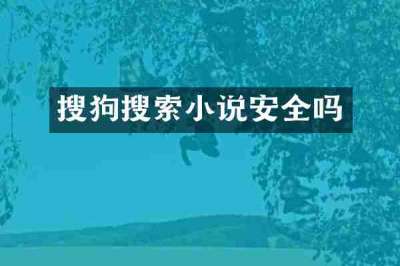 搜狗搜索小说安全吗