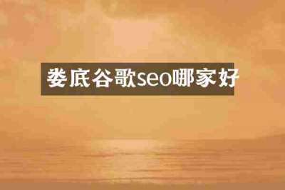 娄底谷歌seo哪家好
