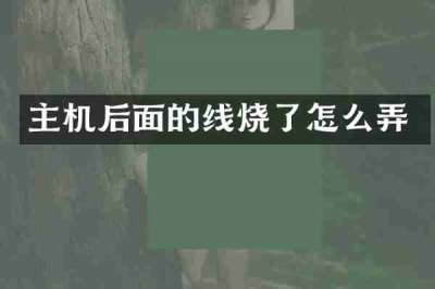 主机后面的线烧了怎么弄