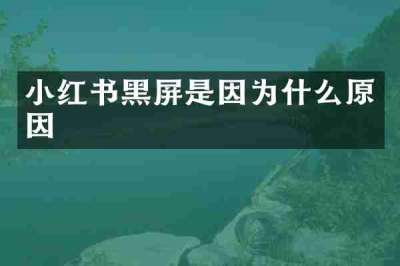 小红书黑屏是因为什么原因
