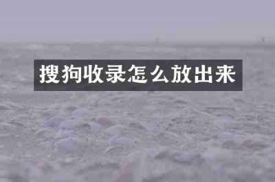 搜狗收录怎么放出来