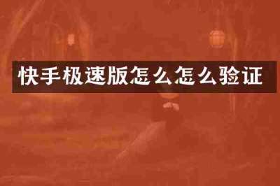 快手极速版怎么怎么验证