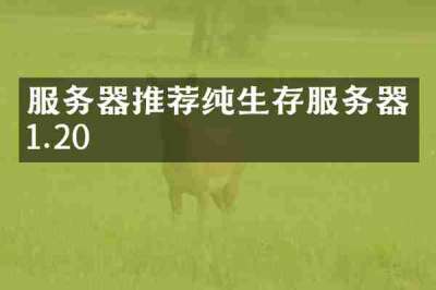 服务器推荐纯生存服务器1.20