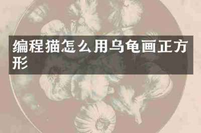 编程猫怎么用乌龟画正方形
