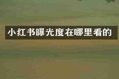小红书曝光度在哪里看的
