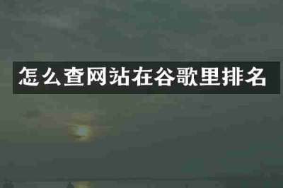 怎么查网站在谷歌里排名