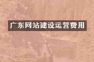 广东网站建设运营费用