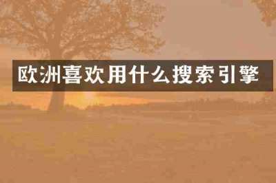 欧洲喜欢用什么搜索引擎