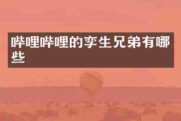 哔哩哔哩的孪生兄弟有哪些