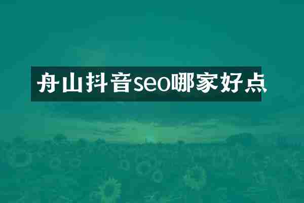 舟山抖音seo哪家好点
