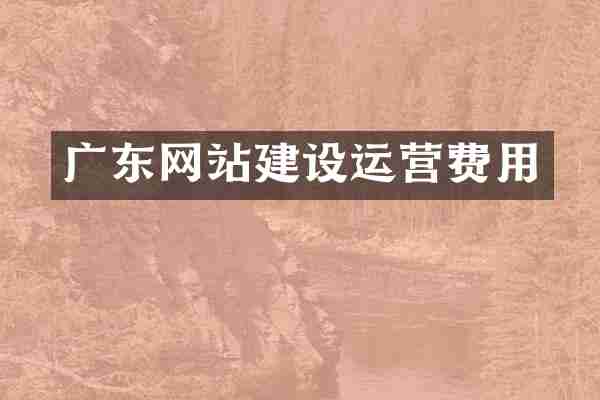广东网站建设运营费用