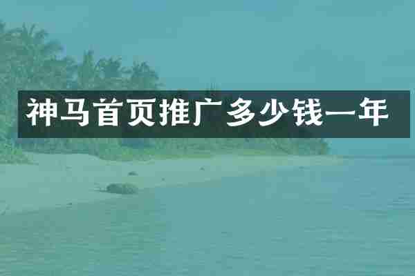 神马首页推广多少钱一年