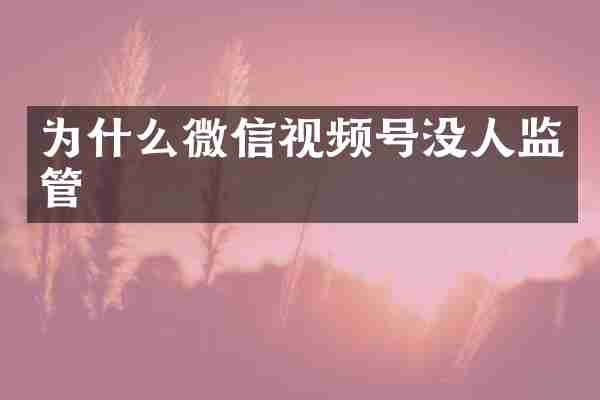为什么微信视频号没人监管