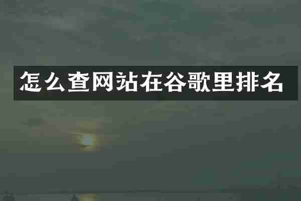 怎么查网站在谷歌里排名