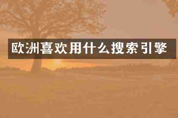 欧洲喜欢用什么搜索引擎