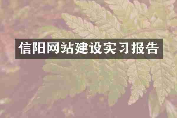 信阳网站建设实习报告