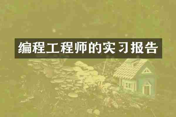 编程工程师的实习报告